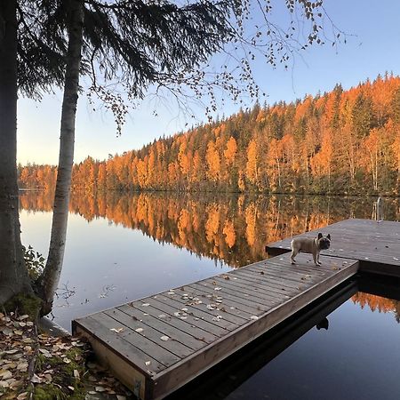 Iken Moekit Villa Heinola Kültér fotó