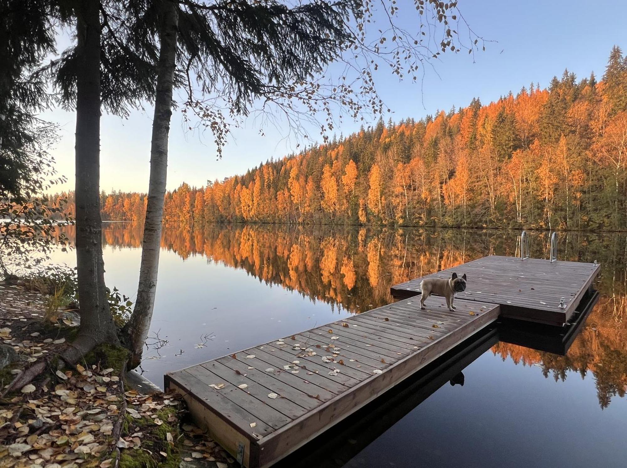 Iken Moekit Villa Heinola Kültér fotó